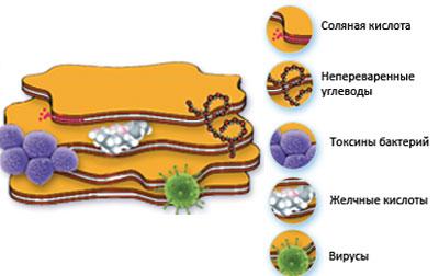 Действие смекты