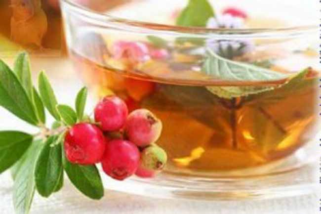 Отвар из лепестков брусники