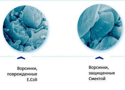 Действие смекты