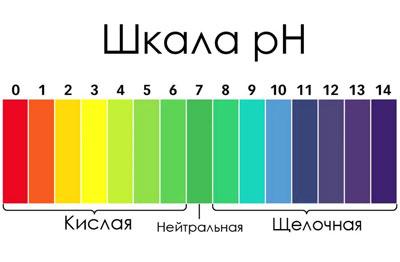 Шкала ph