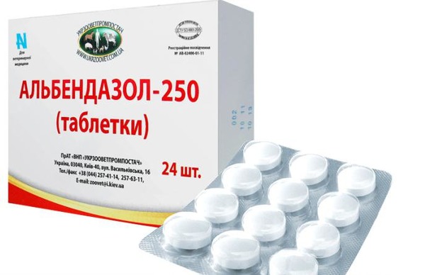 albendazol-ot-glistov.jpg