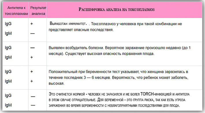 antitela-pri-toxoplasmose.jpg