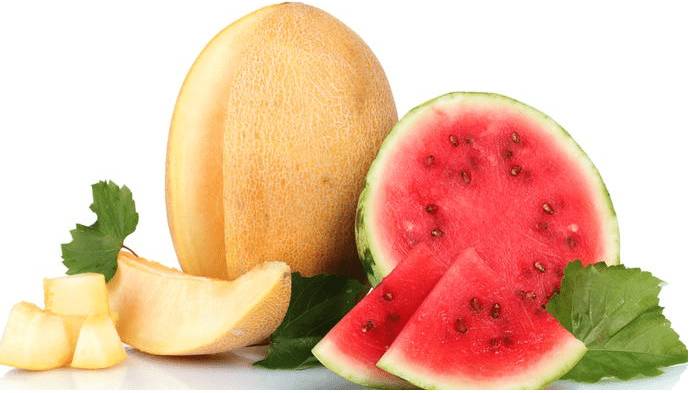 Арбуз и дыня