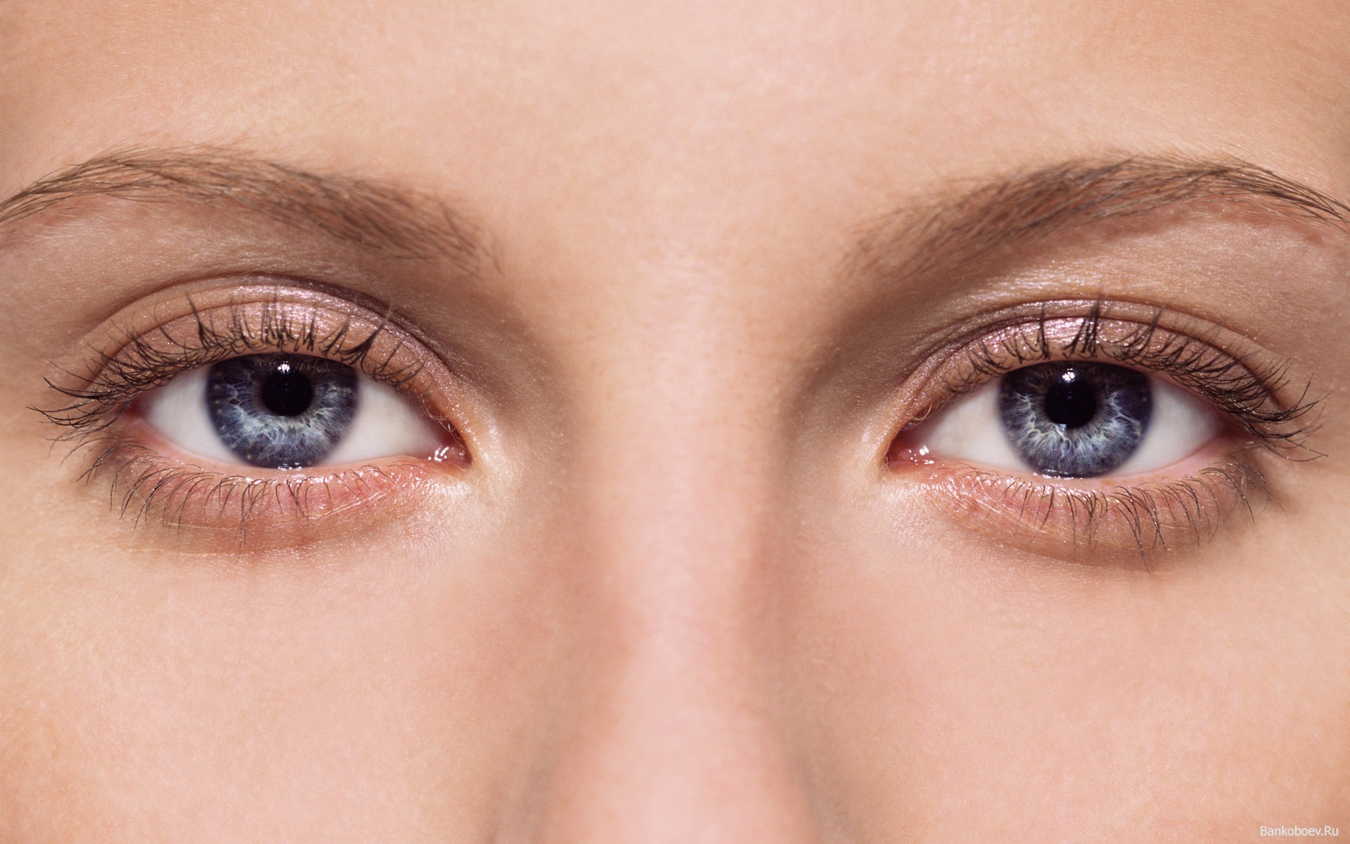 хронический блефарит