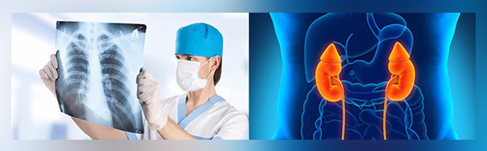 bolezni-pochek-i-legkih.jpg