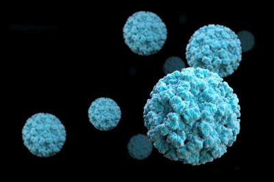 Возбудитель норовируса