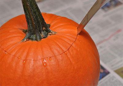 Подготовка тыквы
