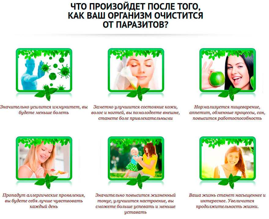 что-произойдет-после-очищения-организма-от-паразитов-2.jpg