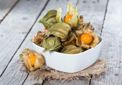 Пищевой физалис