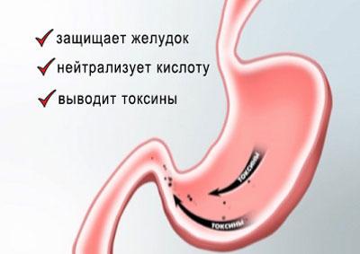 Воздействие фосфалюгеля на желудок
