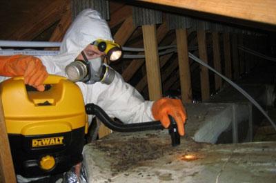 Обработка помещения от вредителей