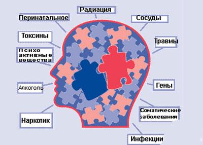 Причины токсической энцефалопатии