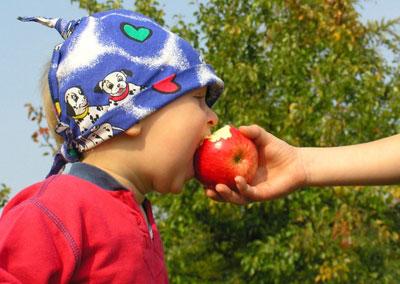 Ребенок есть немытое яблоко