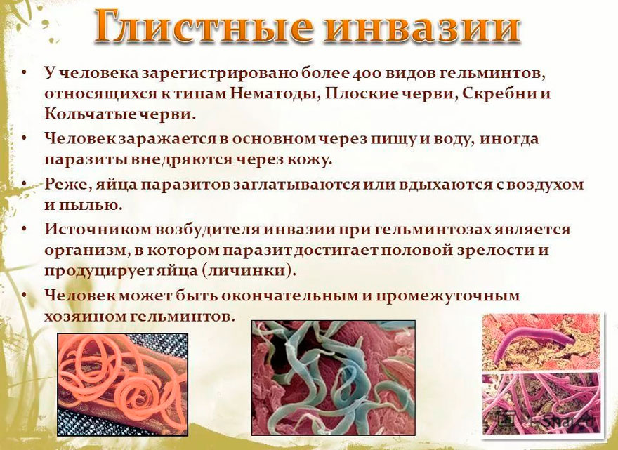 глистные-инвазии.jpg