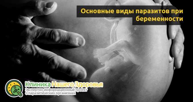 glisty-pri-beremennosti-profilaktika-priznaki-i-lechenie.jpg