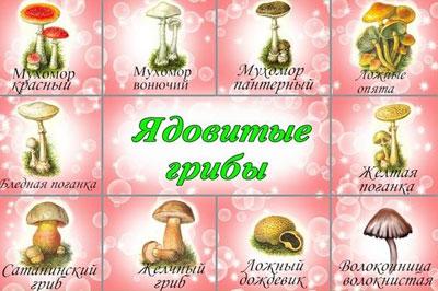 Ядовитые грибы