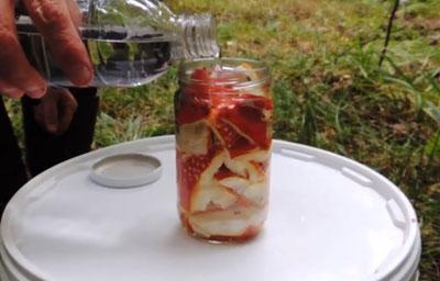 Приготовление настойки мухомора