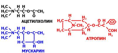 Формулы алкалоидов