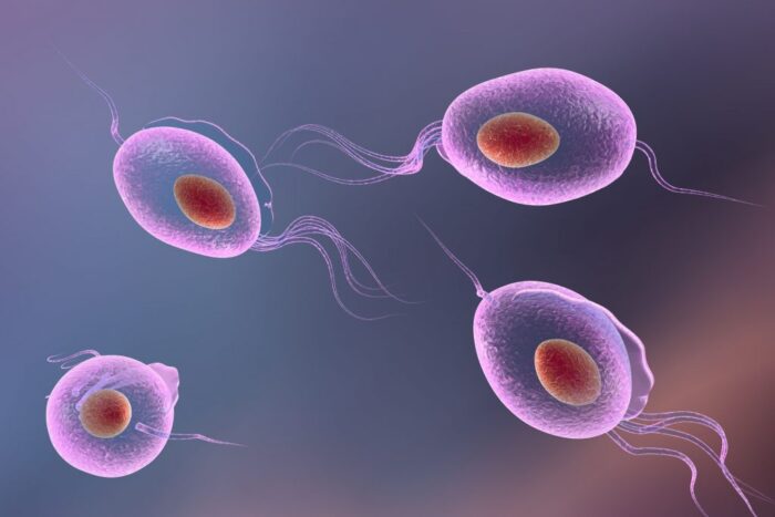 iStock-622546960-2-Trichomonas-Vaginalis-1024x683.jpg