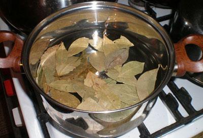 Приготовление отвара лаврового листа