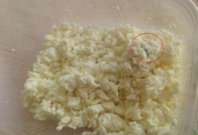 Плесень в твороге