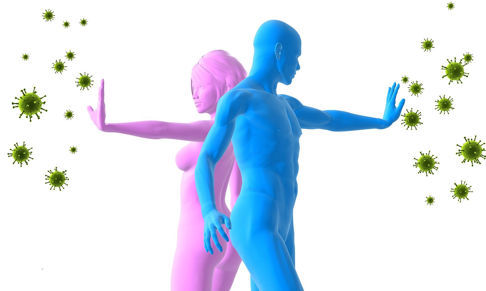 Повышается общий иммунитет