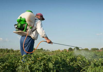 Опрыскивание растений