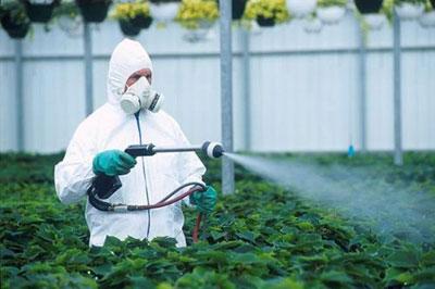 Обработка зелени нитратами