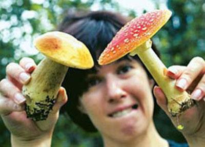 Девушка и грибы