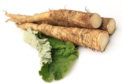 Корень лопуха