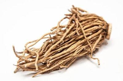 Корень чемерицы