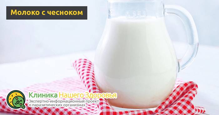 lechenie-gelmintov-u-cheloveka-11.png