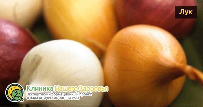 lechenie-gelmintov-u-cheloveka-14.png