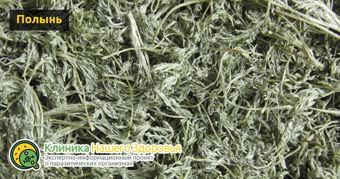 lechenie-gelmintov-u-cheloveka-15.png