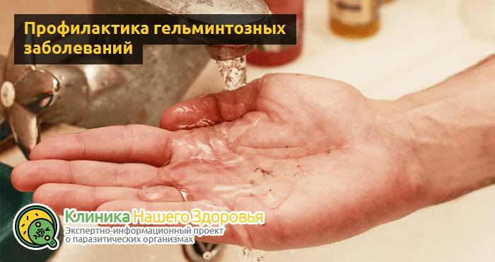 lechenie-gelmintov-u-cheloveka-17.png