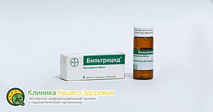 lechenie-gelmintov-u-cheloveka-4.png
