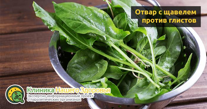 lechenie-glistov-narodnymi-sredstvami-10.png