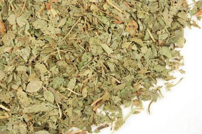 Сухие листья черники