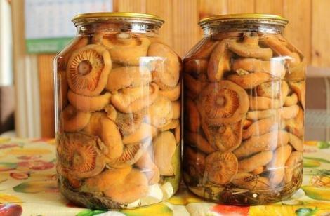 Маринованные рыжики