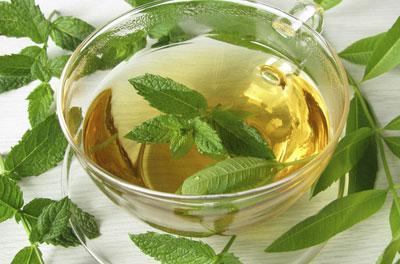 Отвар мяты перечной