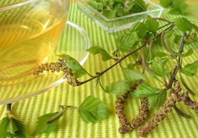 Отвар из березовых листьев