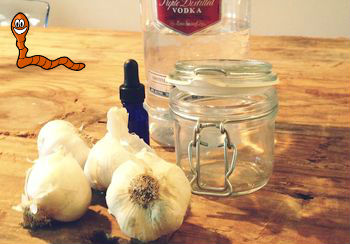 nastoyka-chesnoka-30.jpg