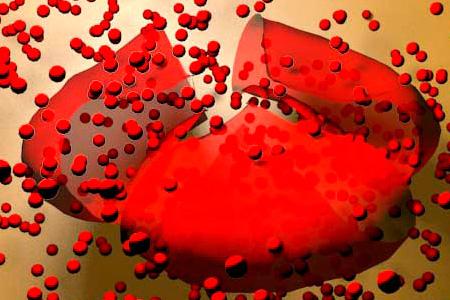 Разрушенные клетки крови