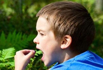 Ребенок ест ягоду