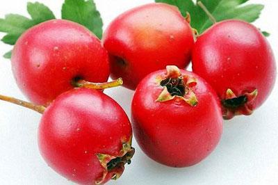 Плоды боярышника