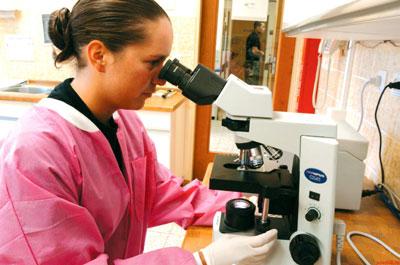 Проведение лабораторных исследований