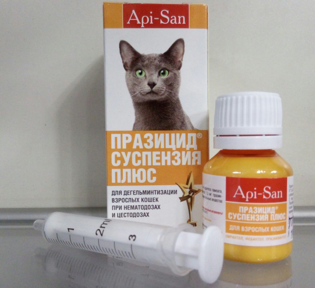 prazitsid-koshki_cr.jpg