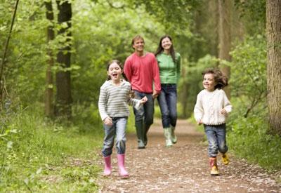 Прогулка в сосновом бору