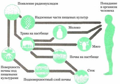 Попадание радиации в организм