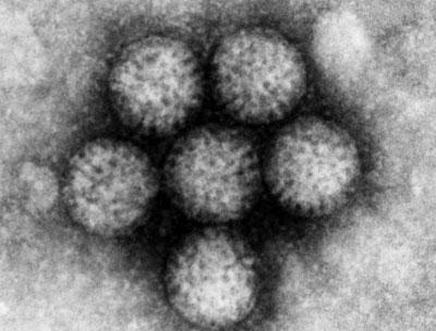 Ротавирусная инфекция